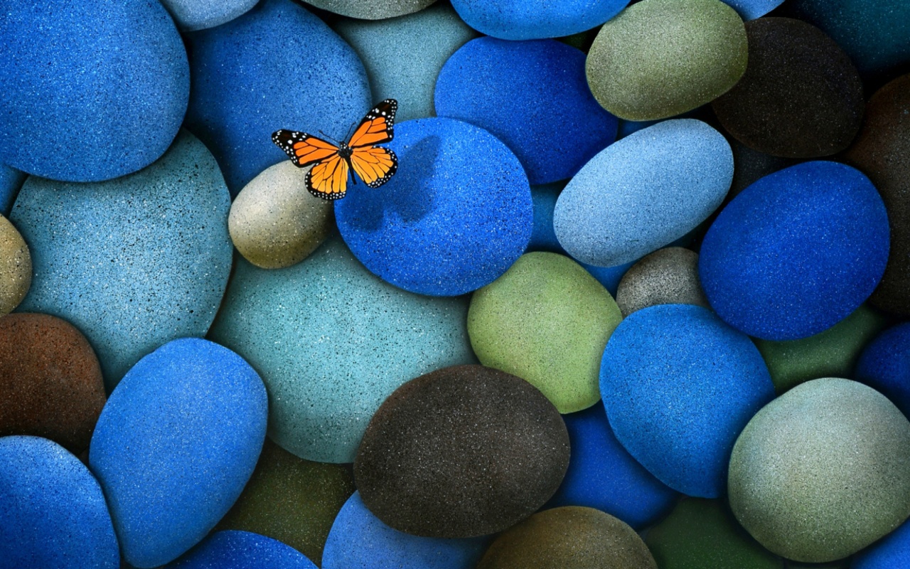Blue Stones And Butterfly
