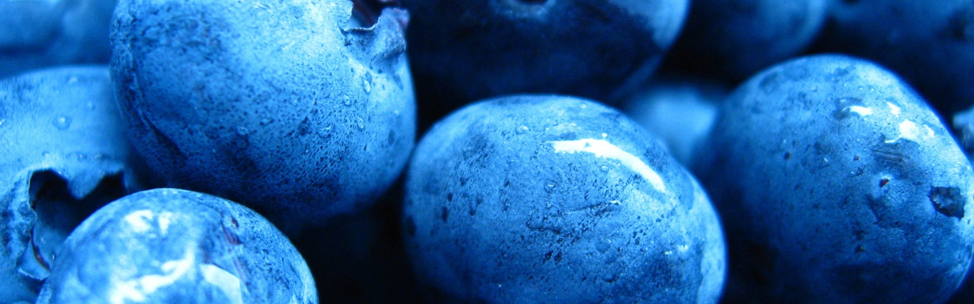 Blueberries