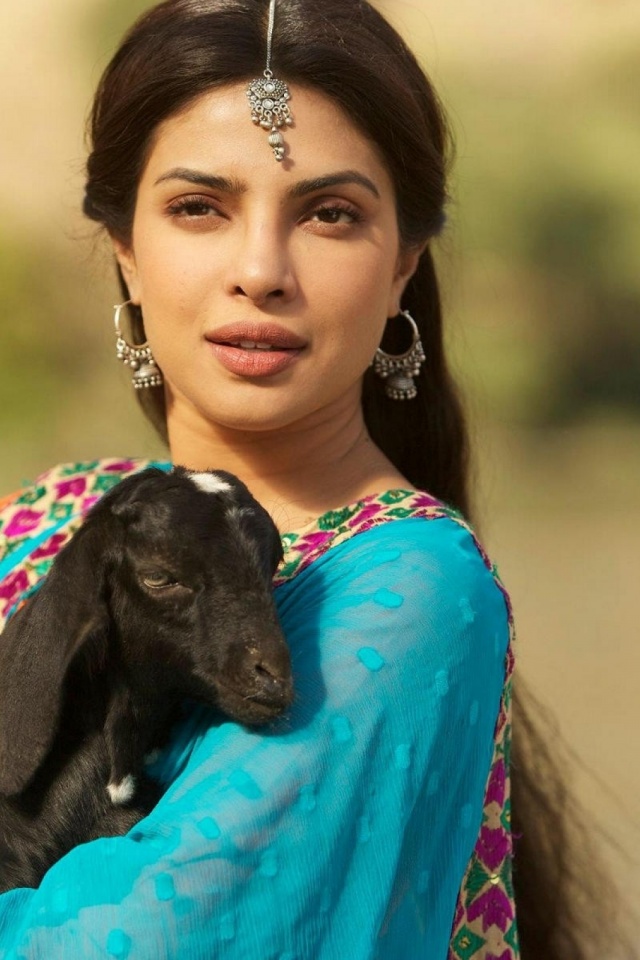 Bollywood Goats Priyanka Chopra Movie Stills Teri Meri Kahaani