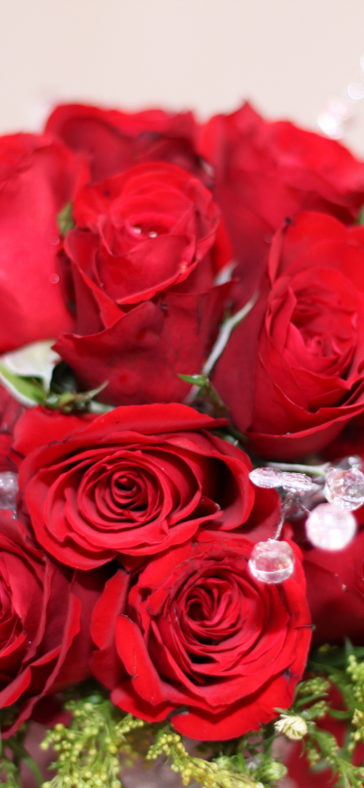 Bouquet Of Red Roses On 8 March