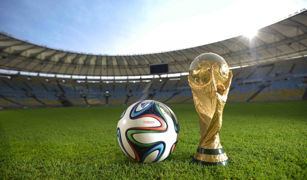 Brazuca Ball World Cup Trophy 2014