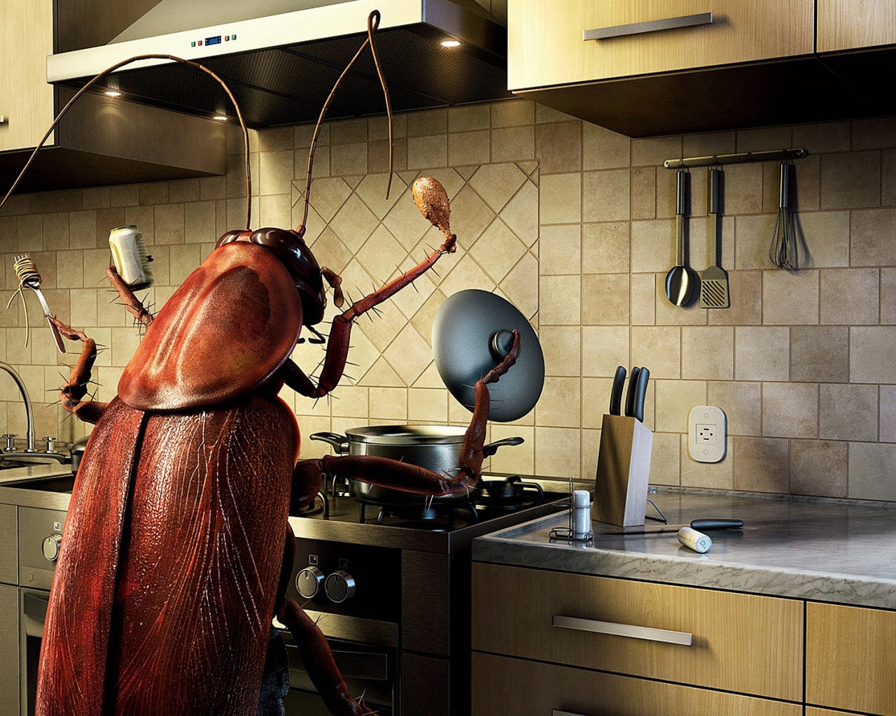 Bug Cooking
