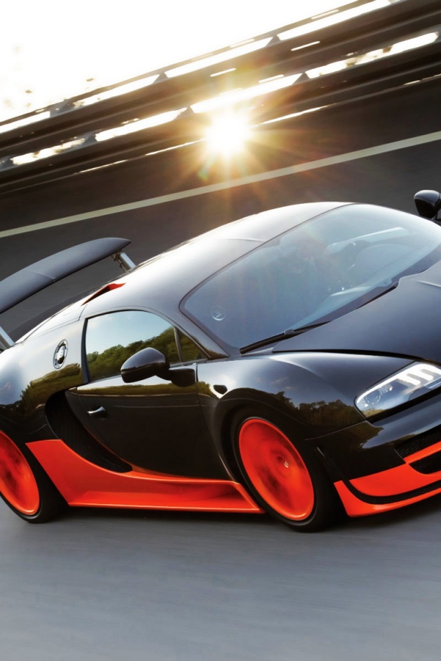 Bugatti Veyron Ss 2010