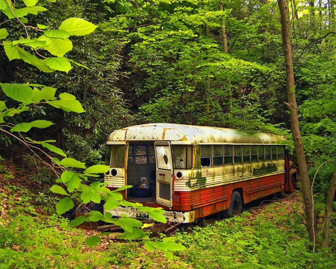 Bus Neglect Forest Nature Landscape