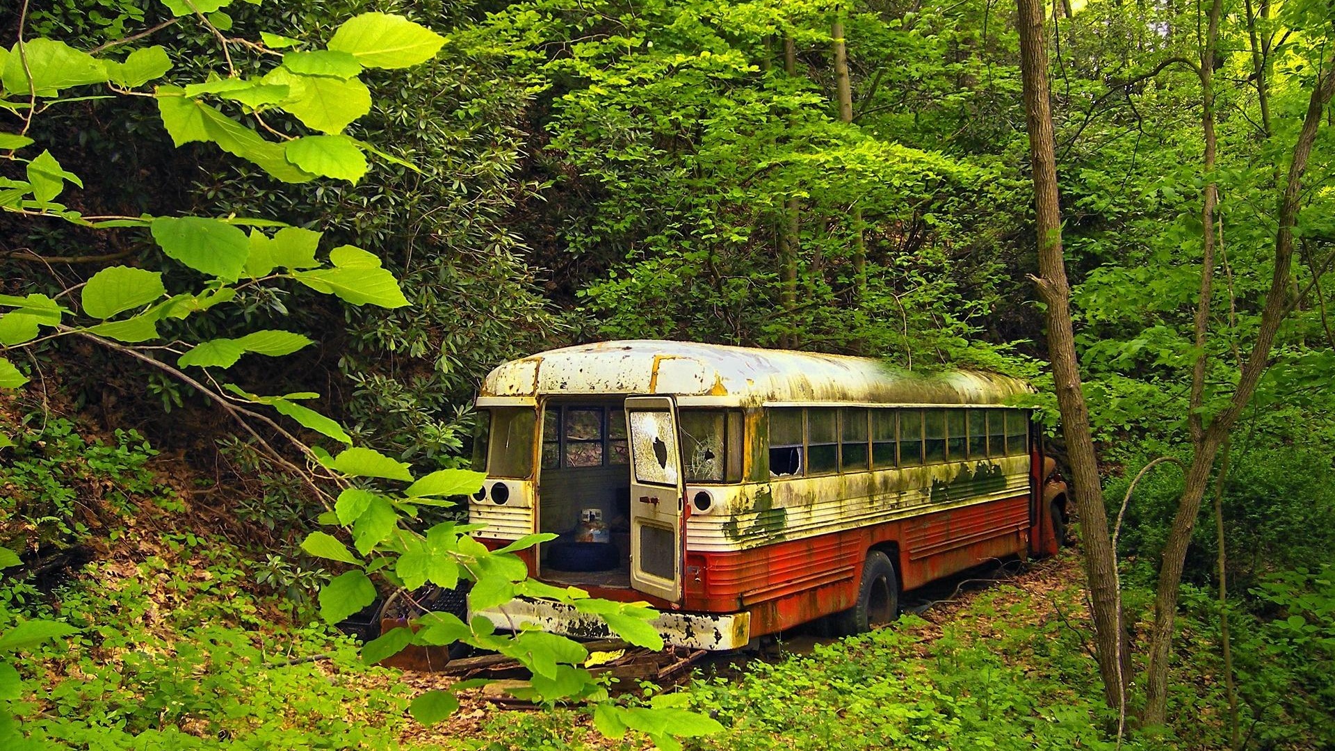 Bus Neglect Forest Nature Landscape