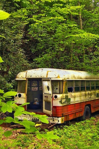 Bus Neglect Forest Nature Landscape