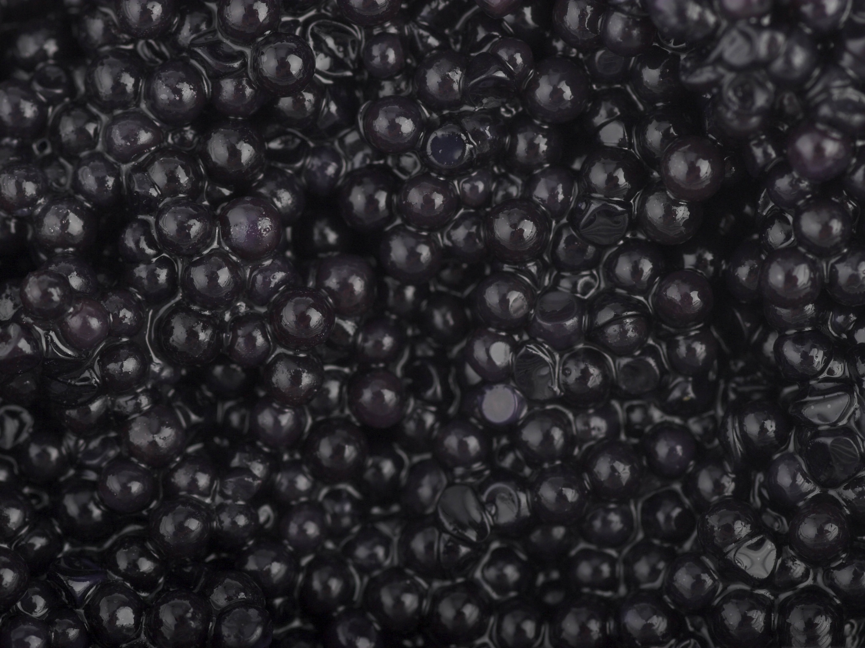 Caviar Macro