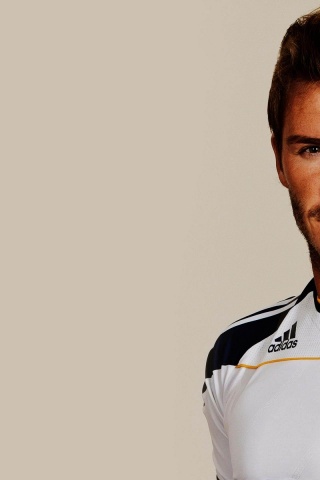 Charming David Beckham