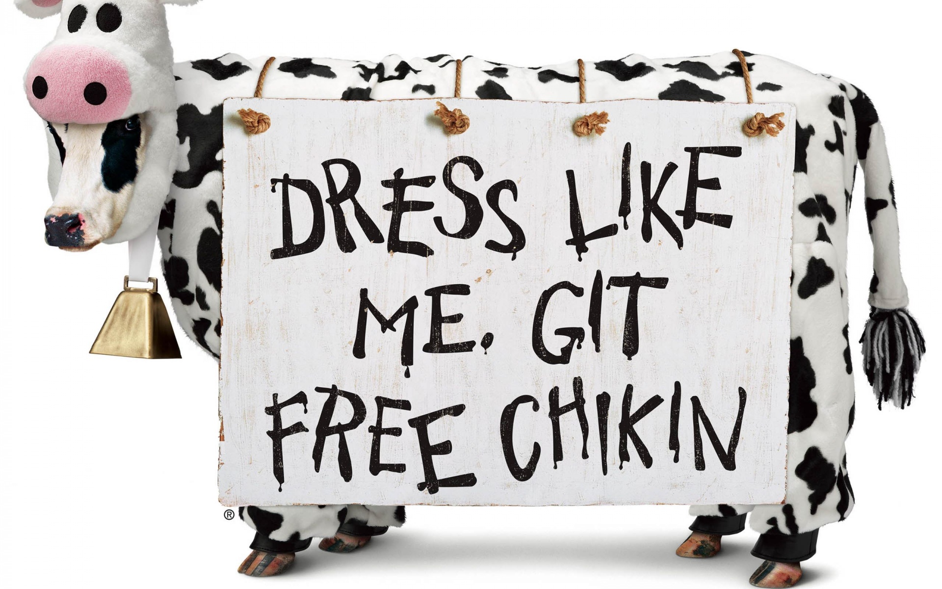 Chick Fil A Hi Cadhorzcowcolor