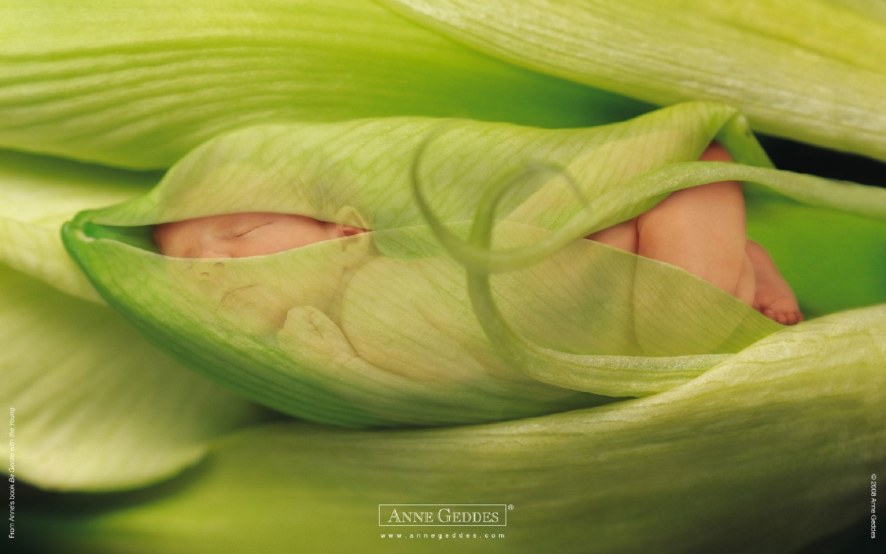 Child Leaves Sprouts Greens