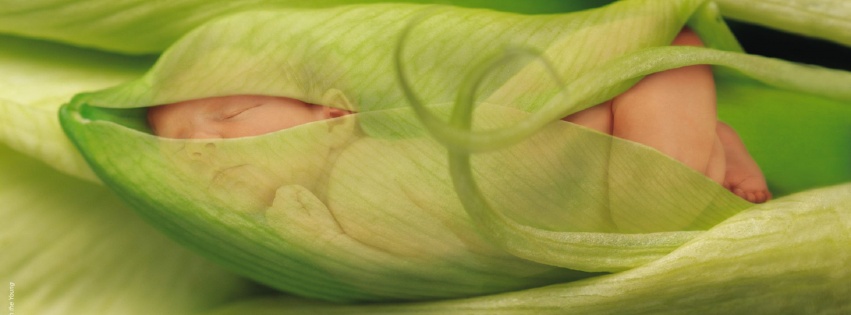 Child Leaves Sprouts Greens