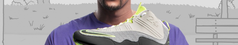 Chris Bosh Nike Shoe