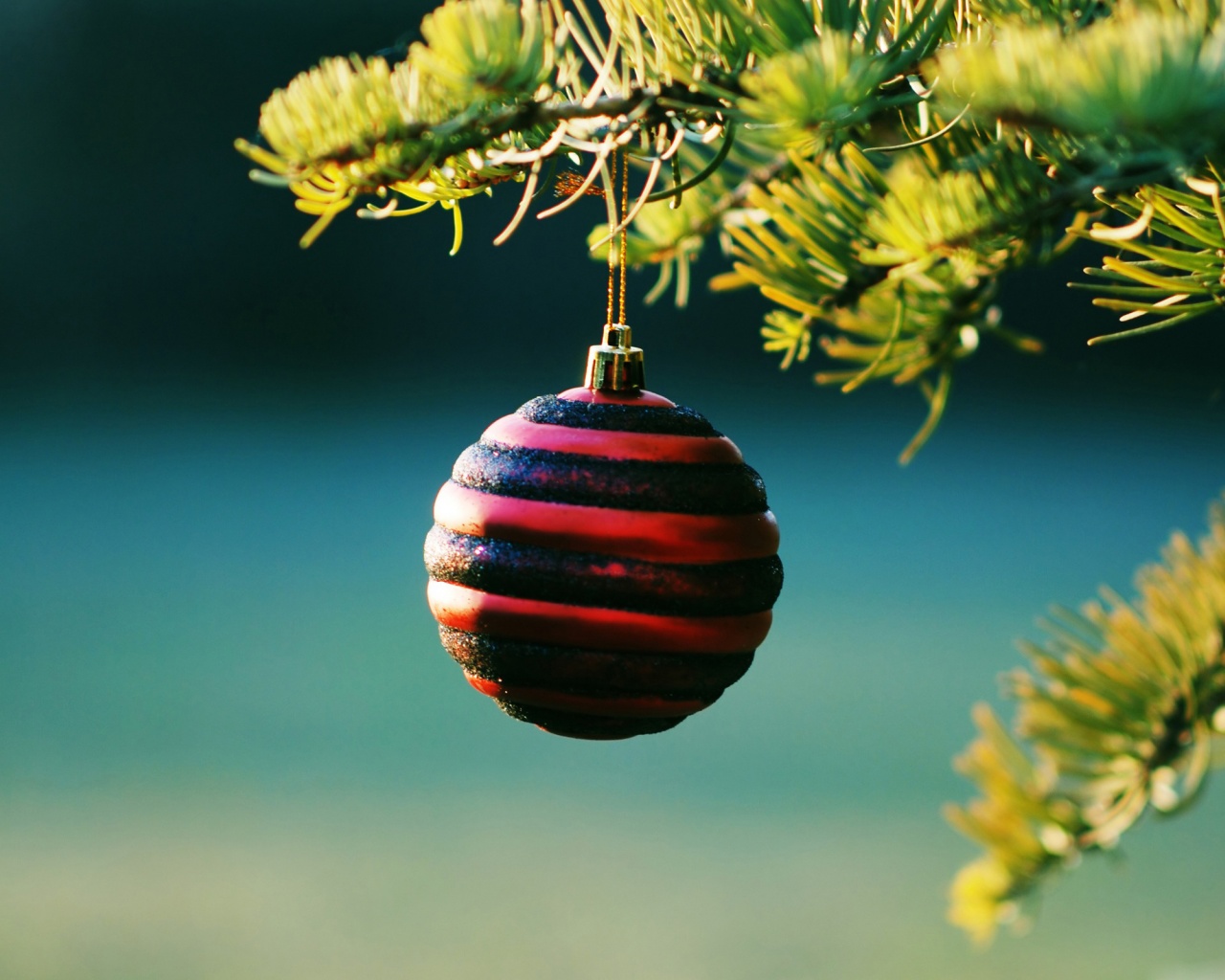 Christmas Balls On Pine Tree