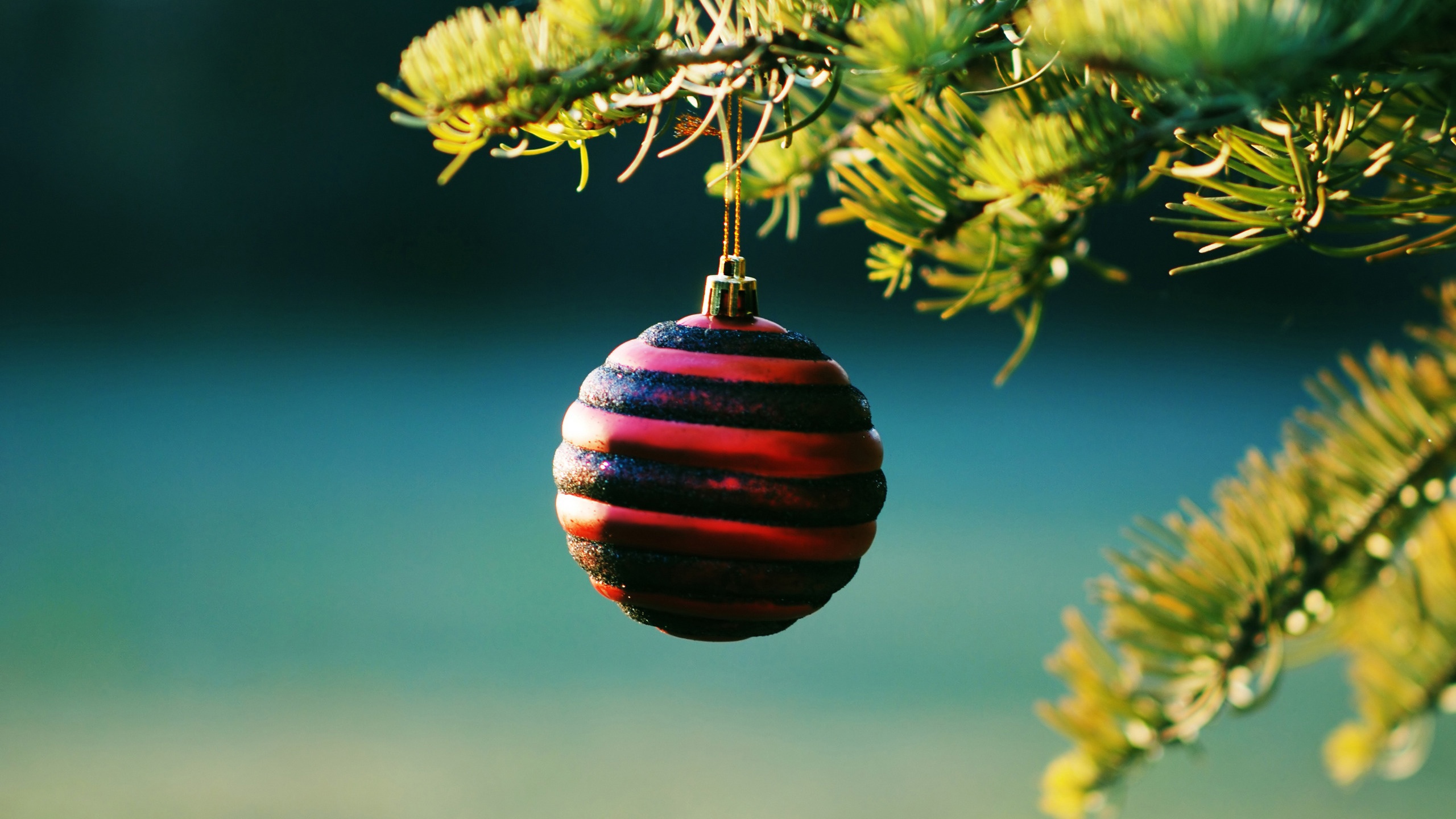 Christmas Balls On Pine Tree