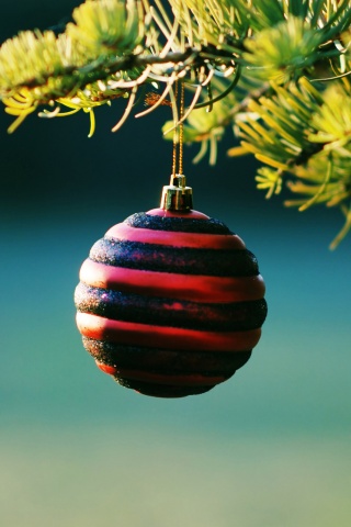 Christmas Balls On Pine Tree