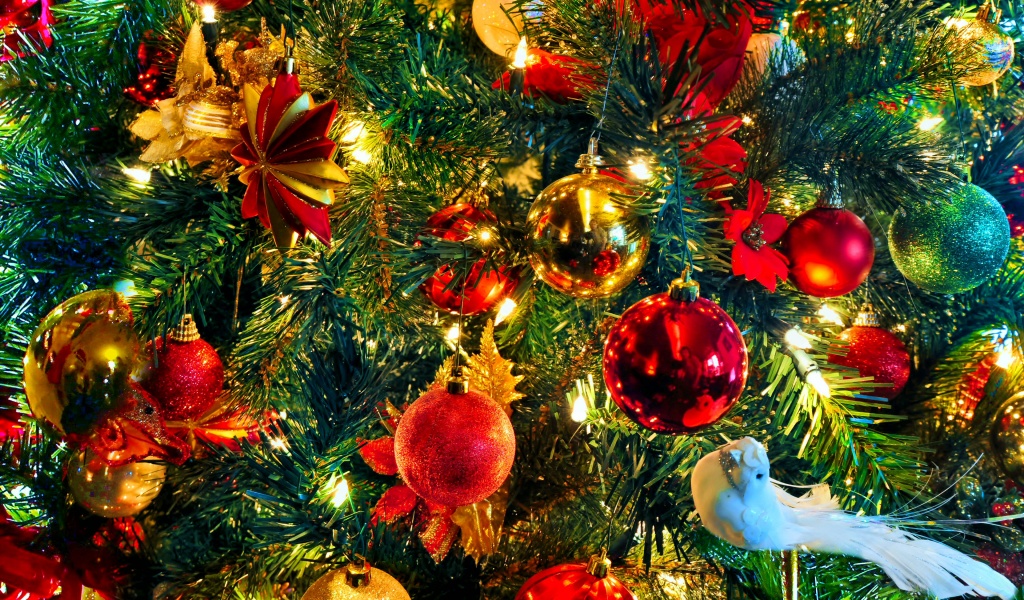Christmas Bird Ornaments Colorful