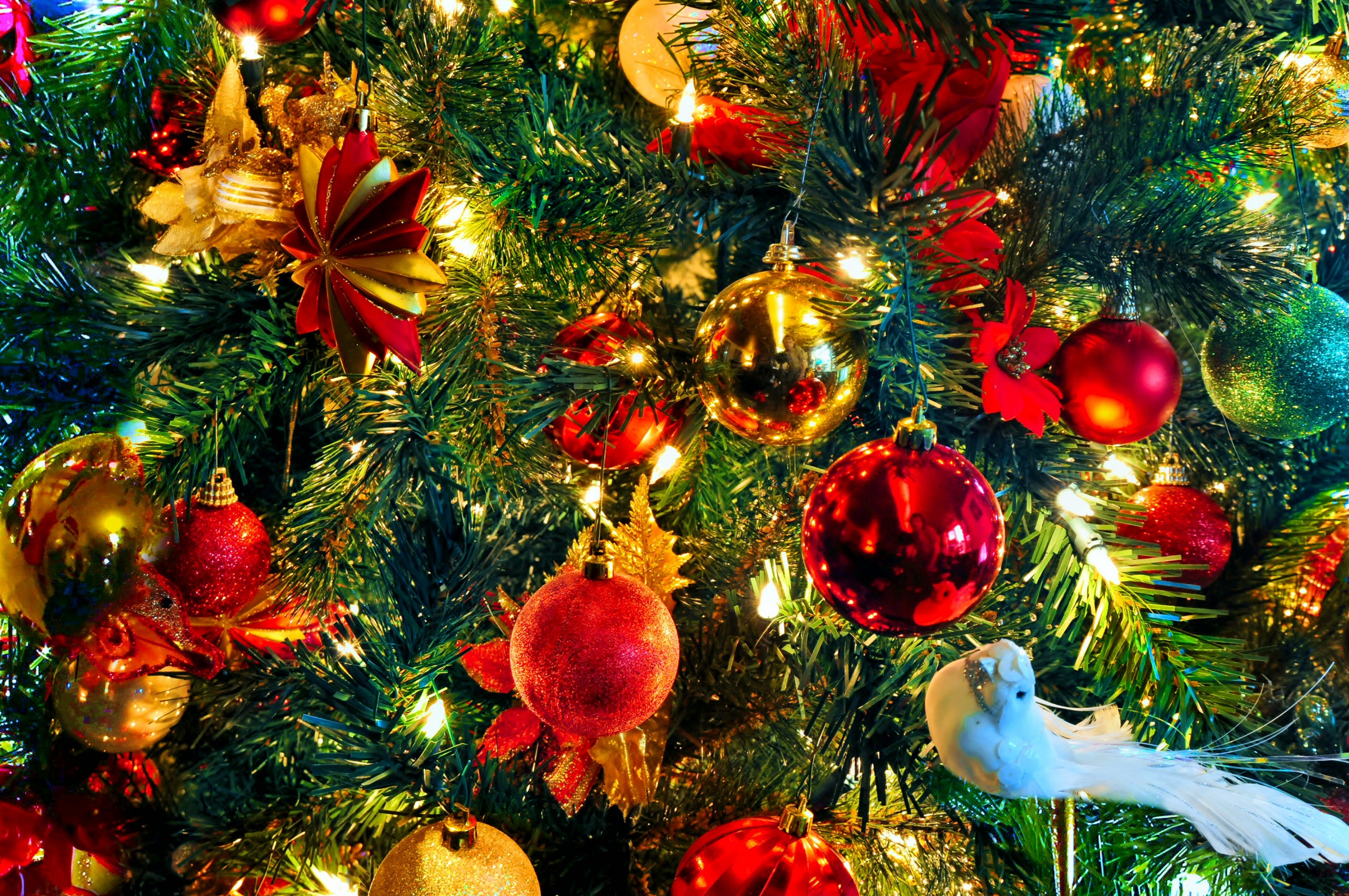 Christmas Bird Ornaments Colorful