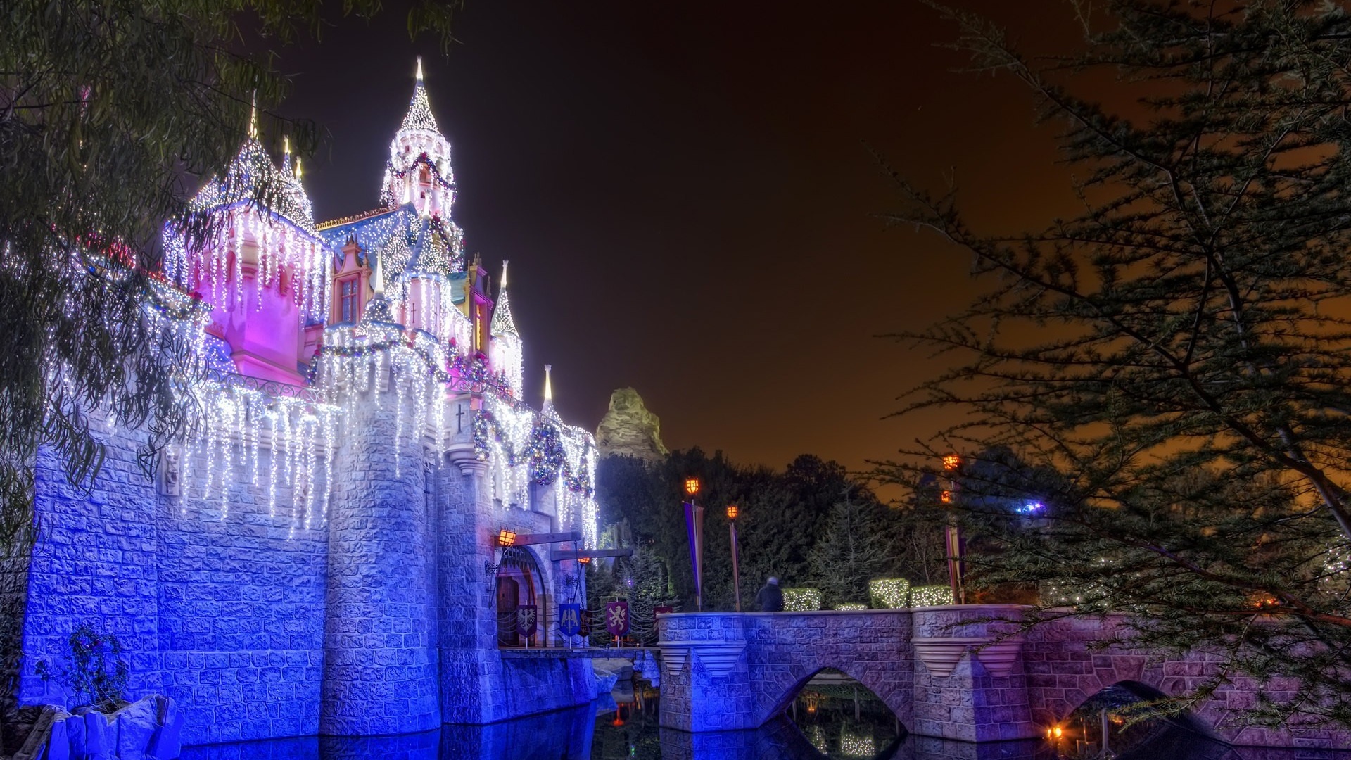 Christmas Castle Disneyland Walt Disney