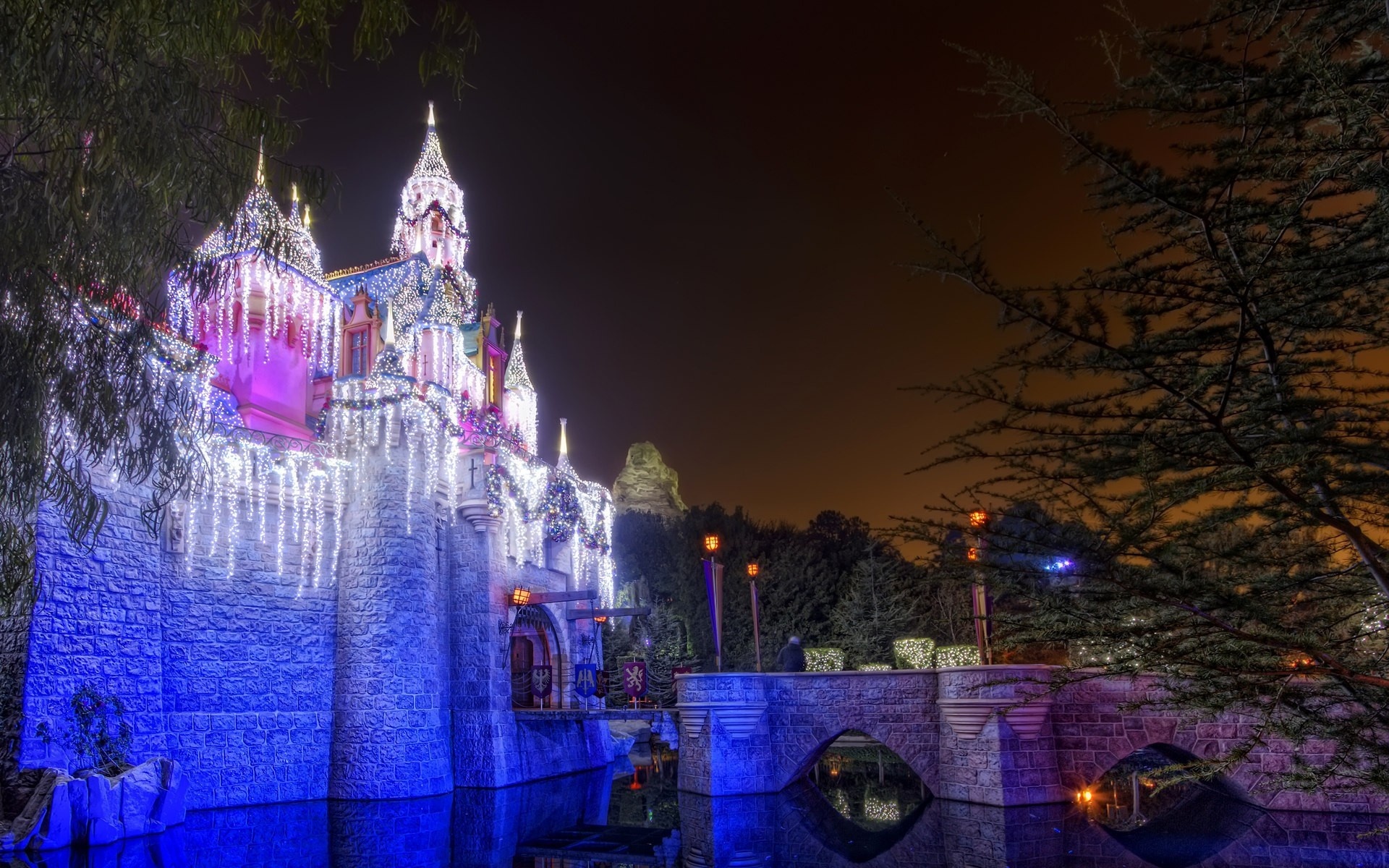 Christmas Castle Disneyland Walt Disney