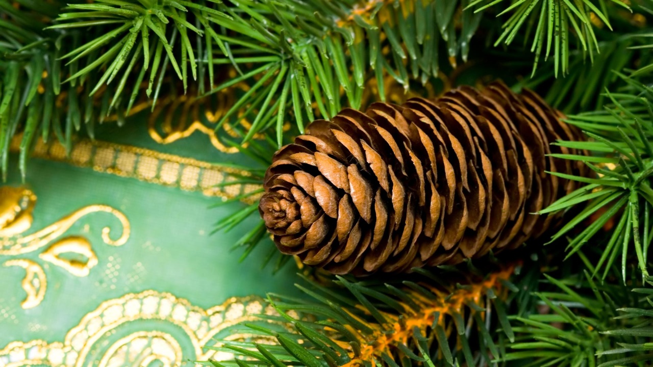 Christmas Pine