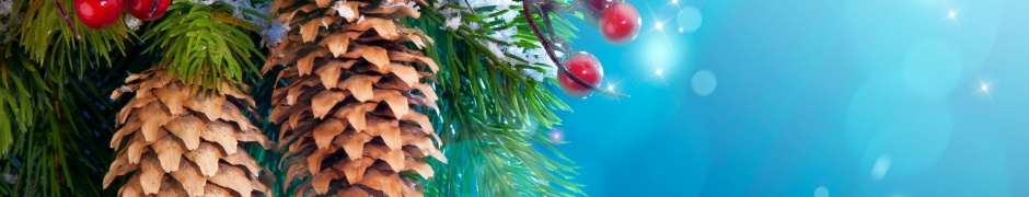 Christmas Tree Branches With Cones
