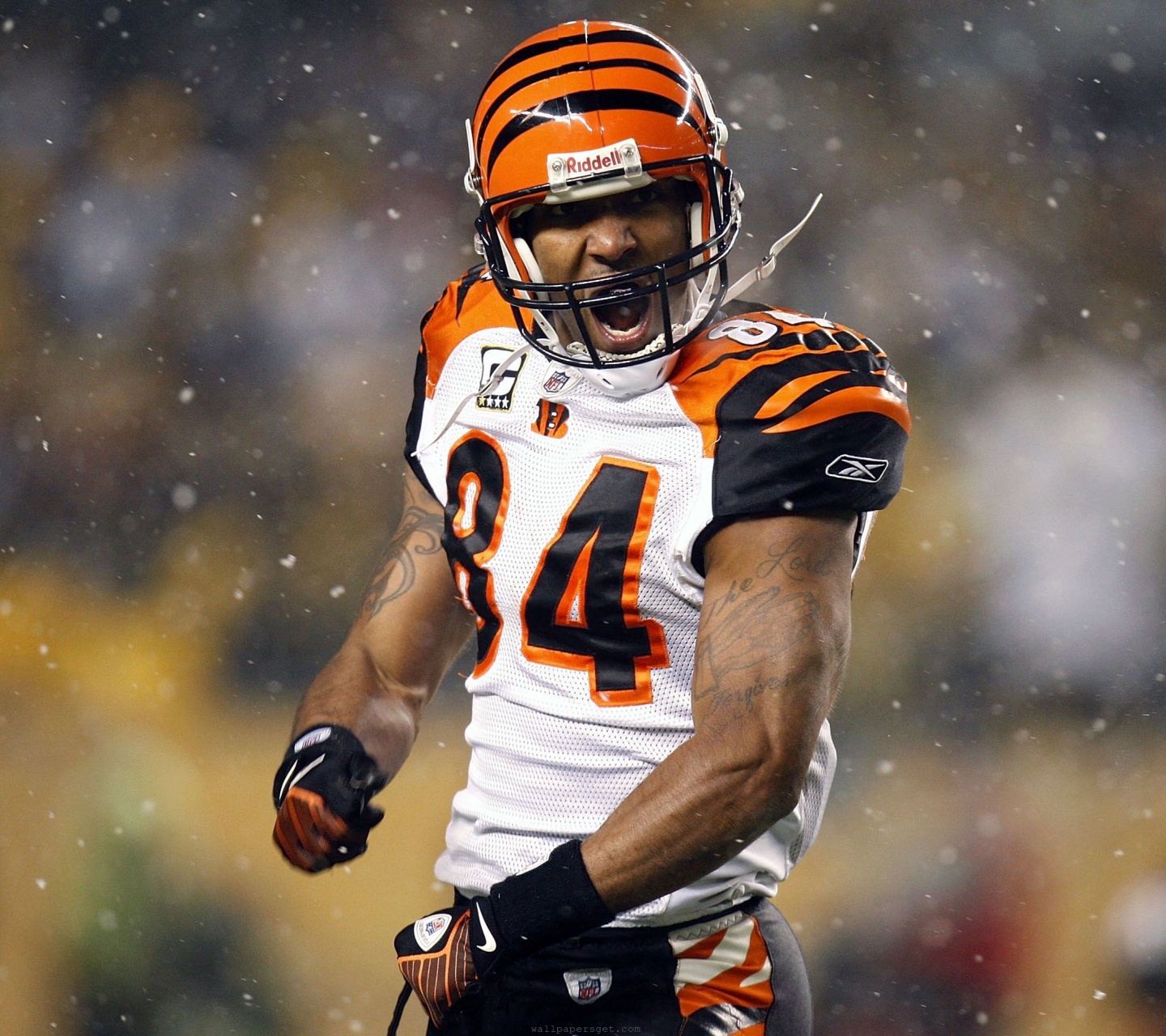 Cincinnati Bengals American Football Receiver Tj Houshmandzadeh