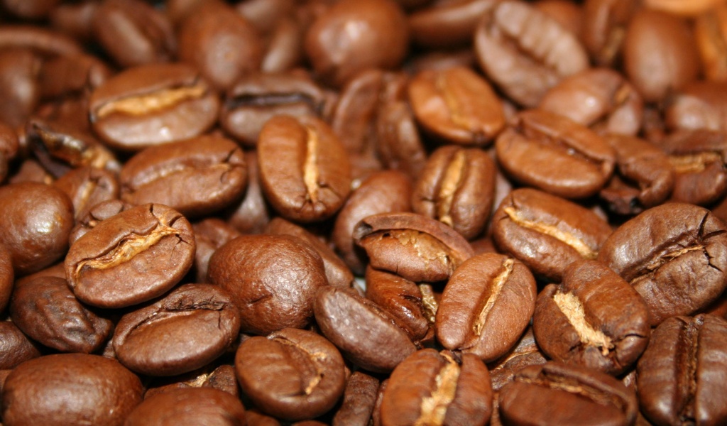 Coffee Beans