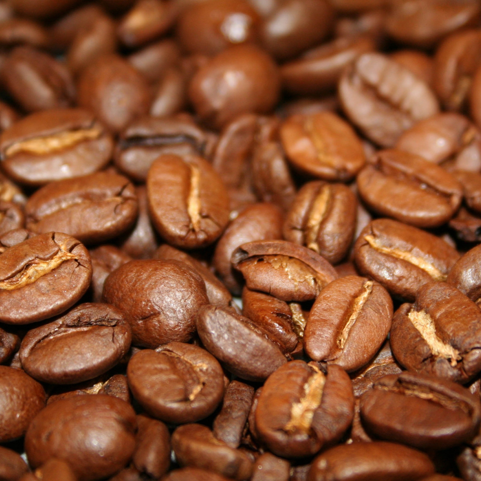 Coffee Beans