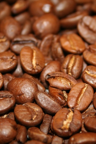 Coffee Beans