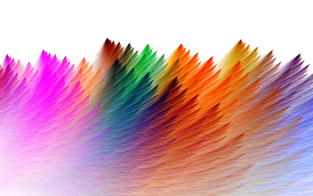 Colorful Feathers Abstract