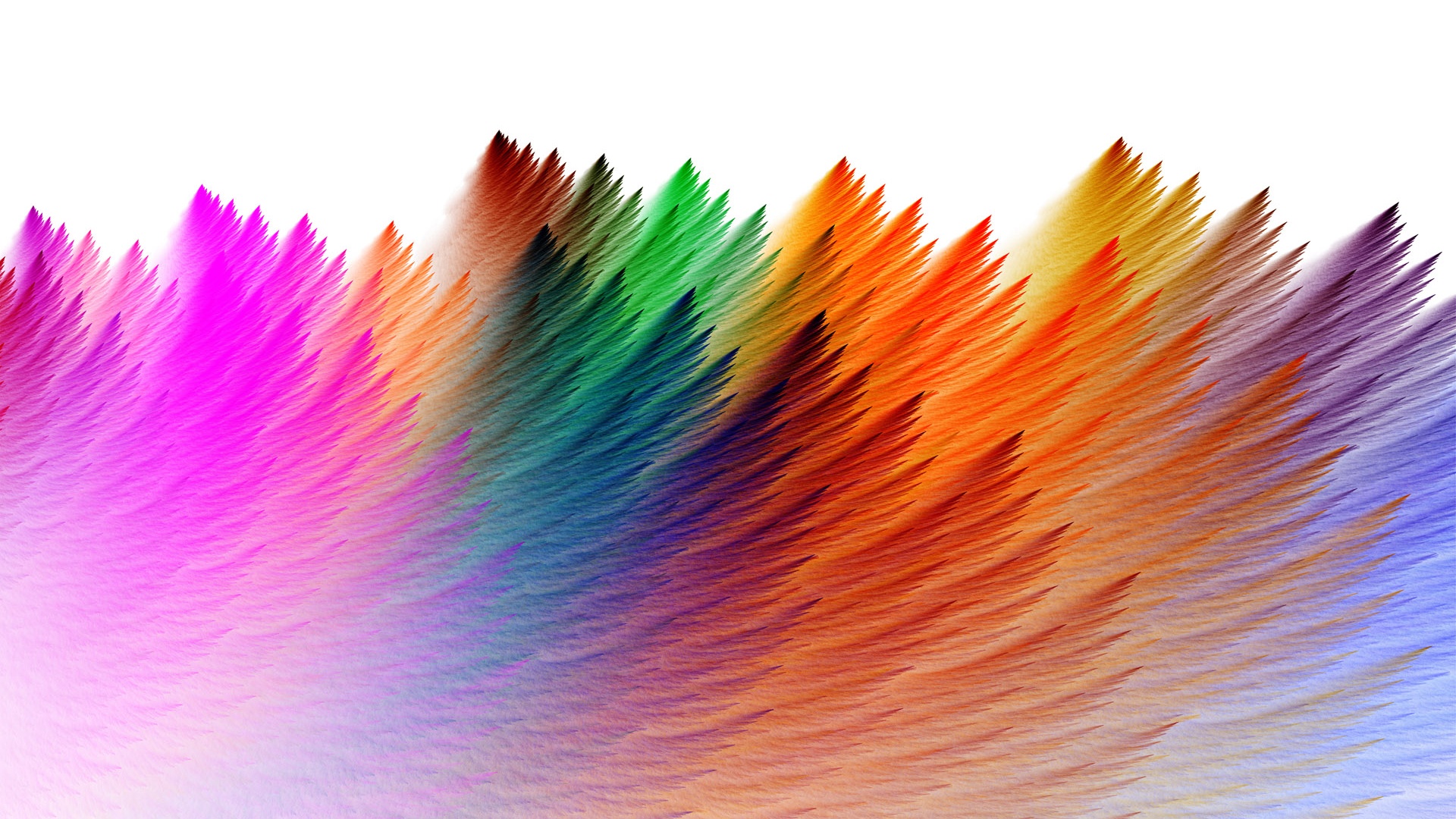 Colorful Feathers Abstract