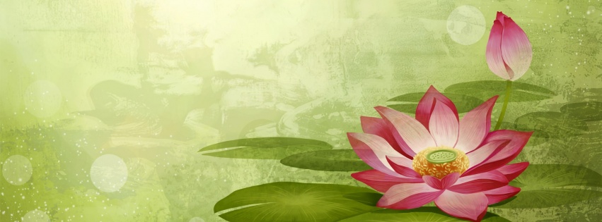 Colorful Lotus Flowers Nature Art