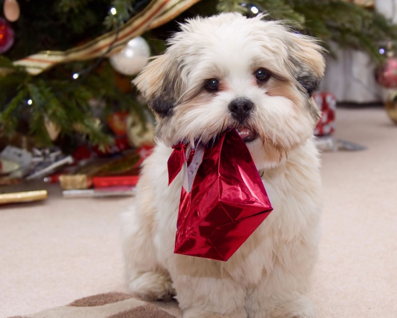 Cute Puppy With Present Gifts Christmas Tree