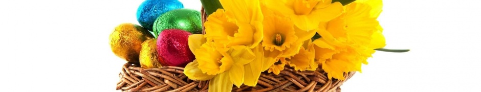 Daffodils Flower Basket Eggs Wrap