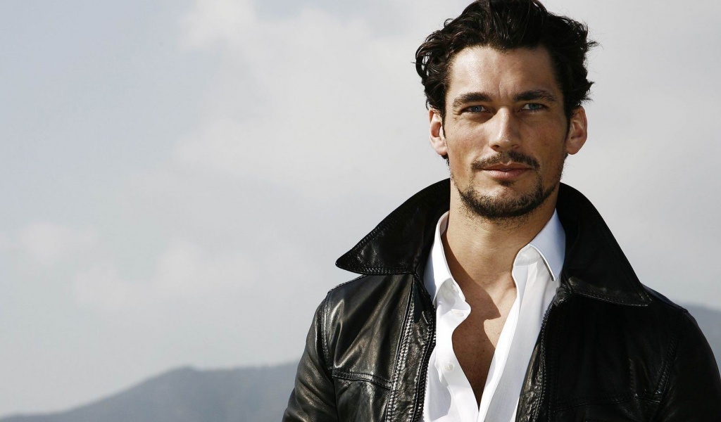 David Gandy