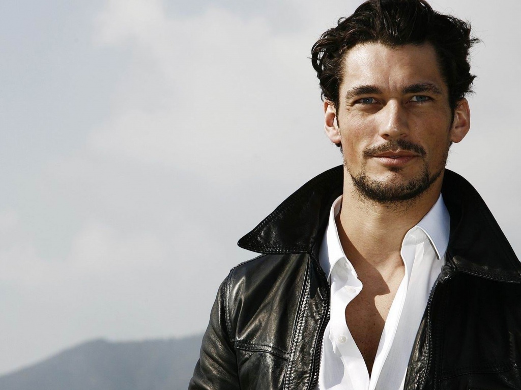 David Gandy