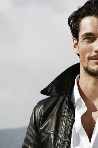 David Gandy