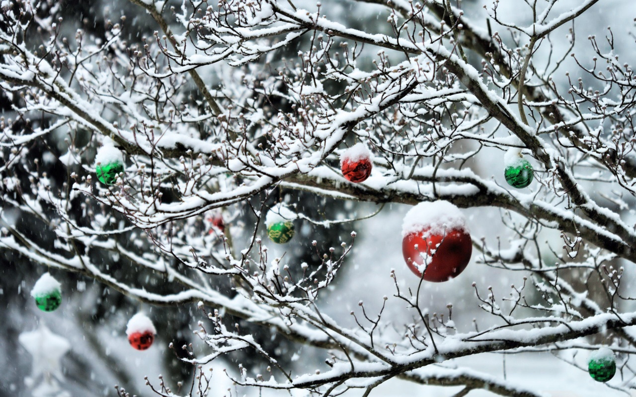 Decorated Tree Branches