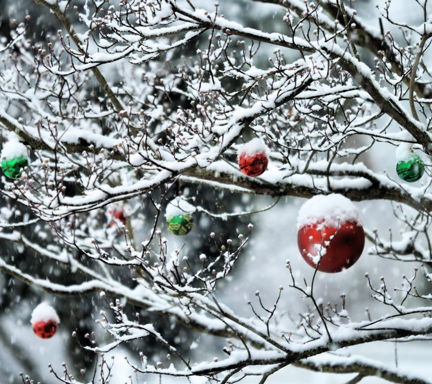 Decorated Tree Branches