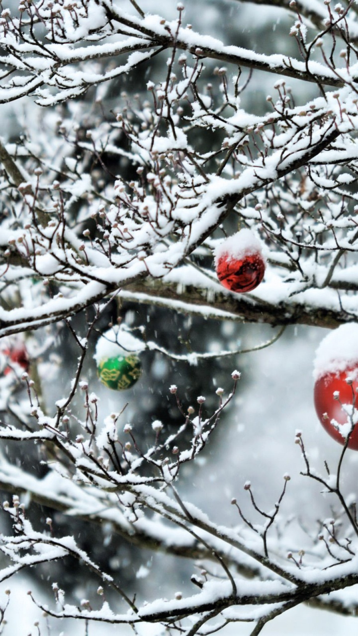 Decorated Tree Branches