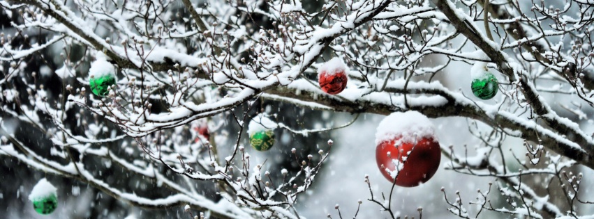 Decorated Tree Branches