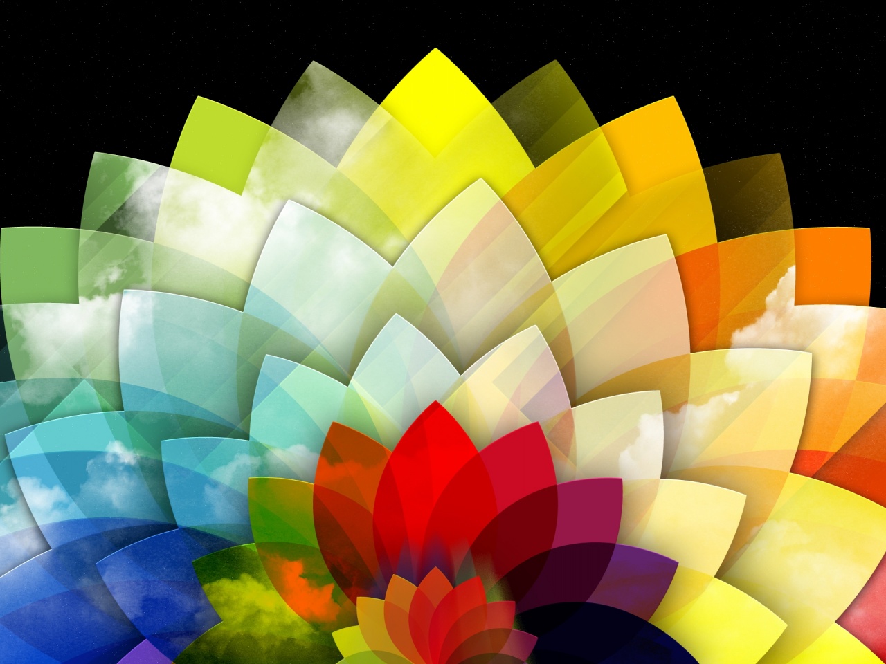 Digital Art Multicolored Flower