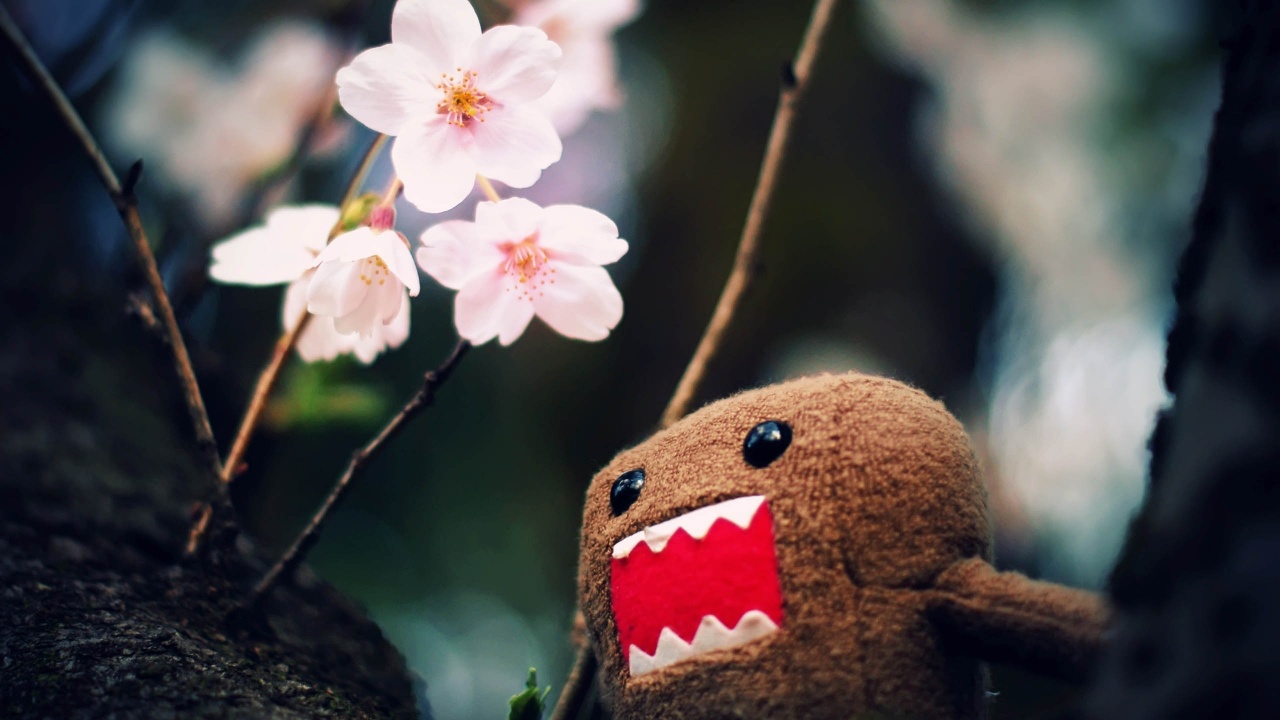 Domo Kun And Tree Blossoms