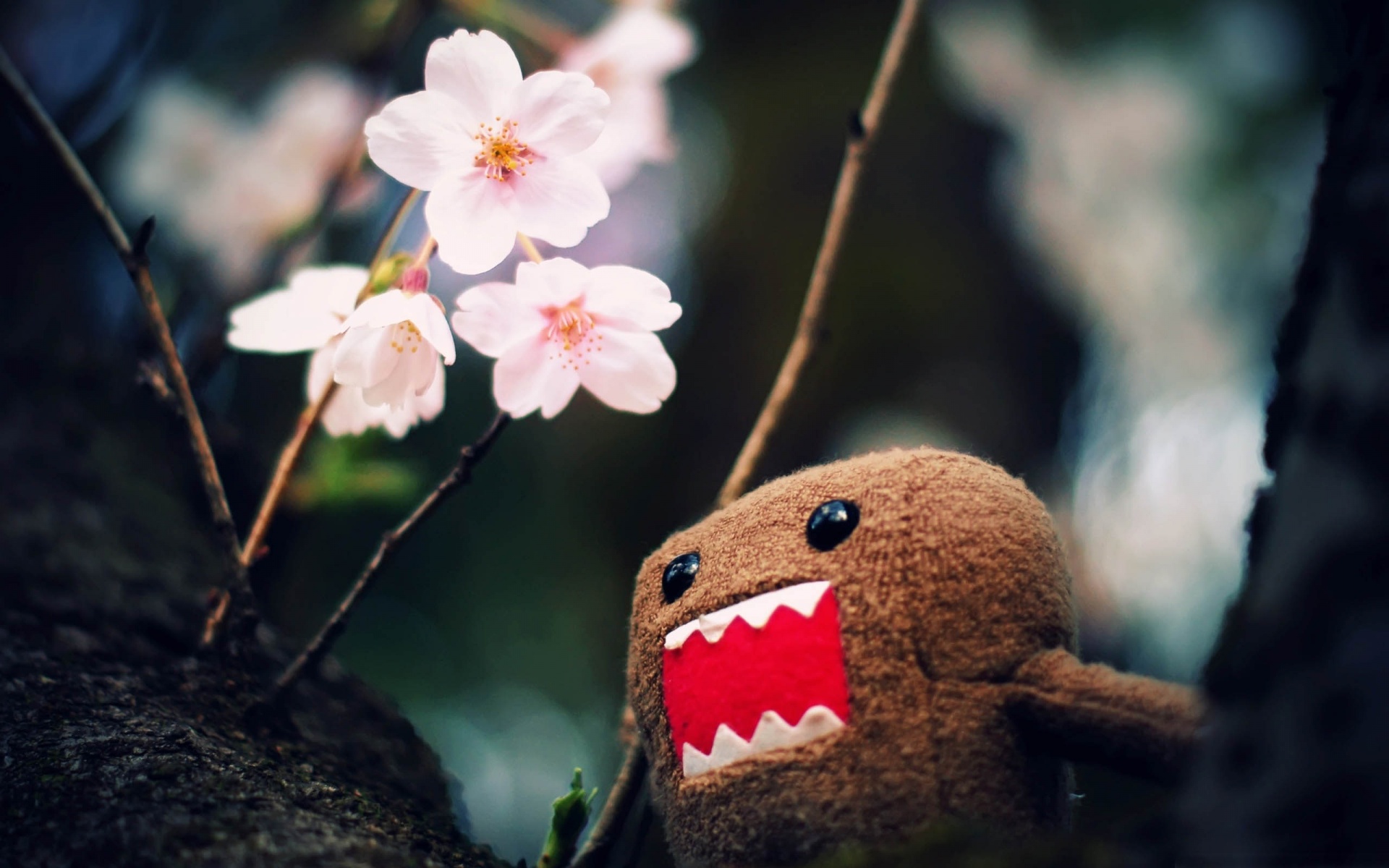 Domo Kun And Tree Blossoms