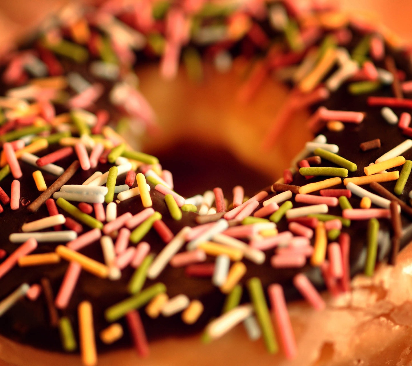 Donut Close Up