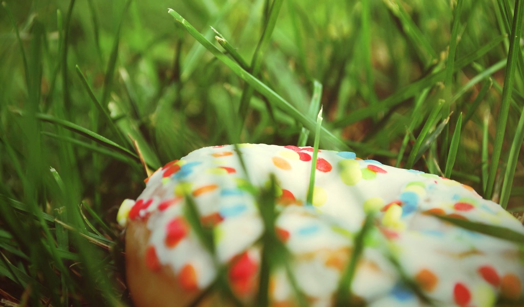 Donut In The Grass