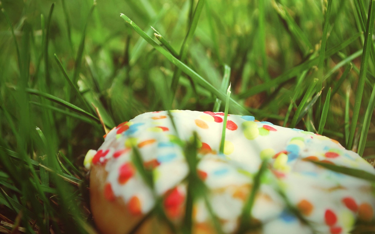 Donut In The Grass