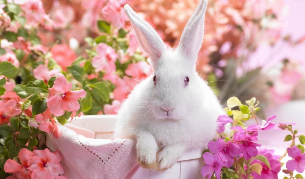 Easter Bunny Holiday Wallpaper