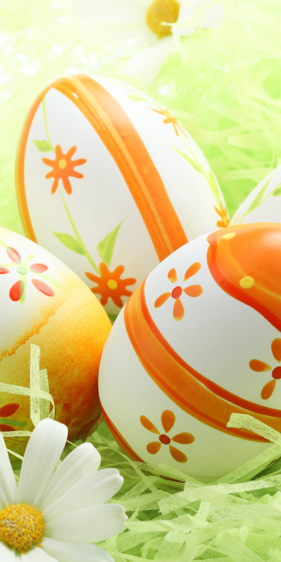 Easter Eggs Among The Daisies