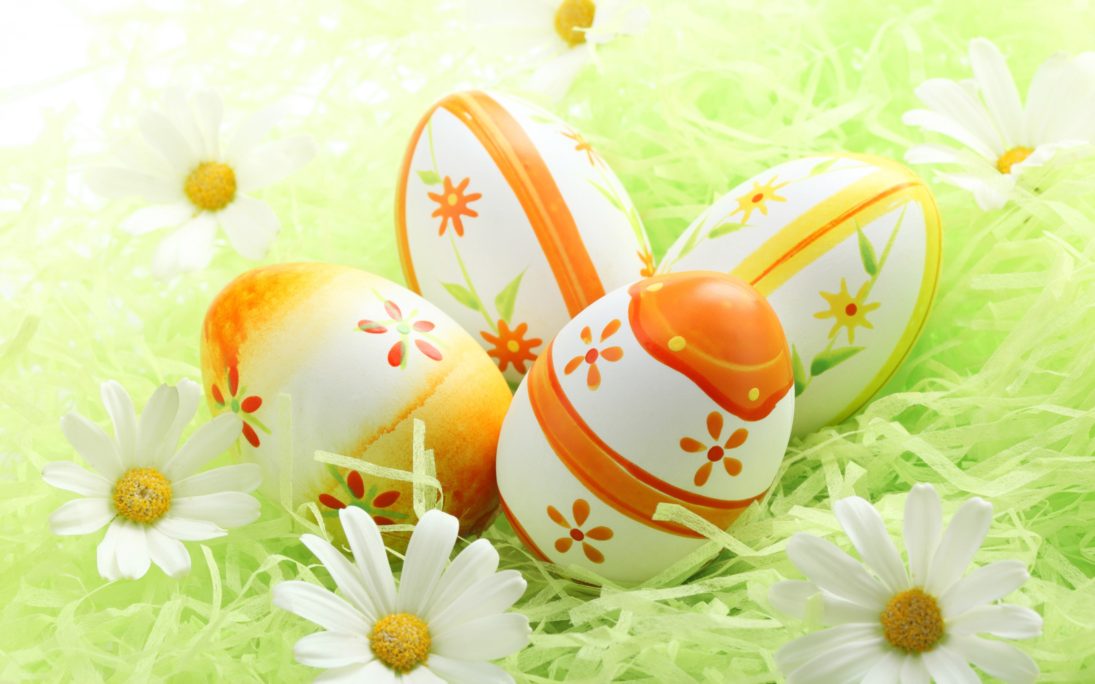 Easter Eggs Among The Daisies
